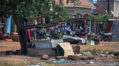 Roadside stall under a large tree displaying produce, clothing, household goods, and merchandise beside open-front shops.