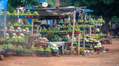 Tiered roadside market shelves crowded with watermelons, citrus, avocados, melons, roots, and other produce.
