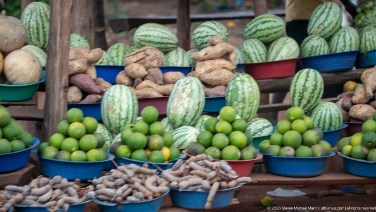 Watermelons, green citrus, pale melons, and root crops arranged in colorful plastic basins at a produce stall.