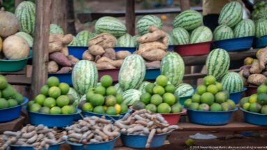 Watermelons, green citrus, pale melons, and root crops arranged in colorful plastic basins at a produce stall.