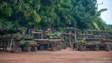 Large roadside produce market with tiered wooden tables covered in melons, citrus, avocados, bananas, and other produce.