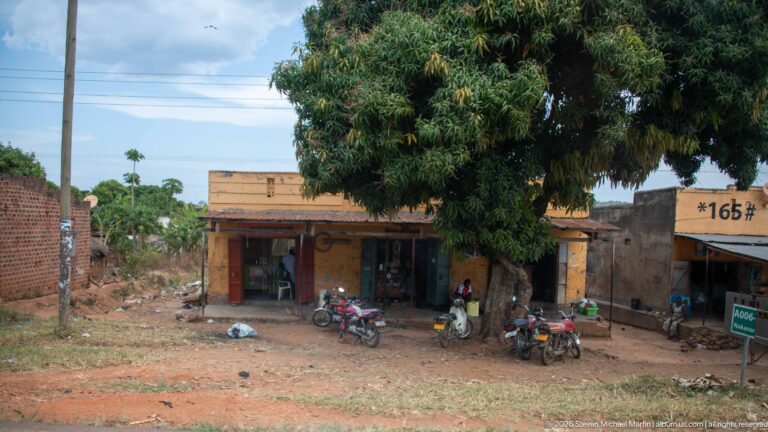 Several motorcycles parked beneath a large mango tree outside a weathered open-front roadside workshop.