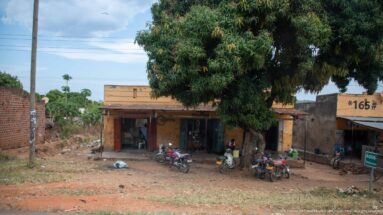 Several motorcycles parked beneath a large mango tree outside a weathered open-front roadside workshop.
