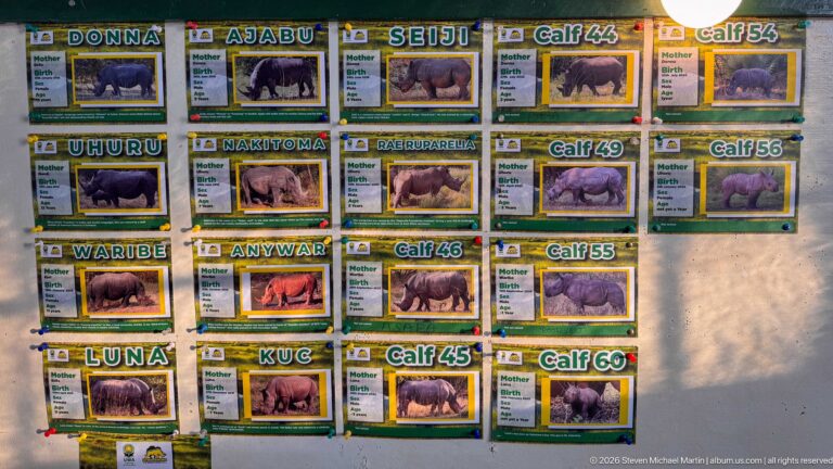 Wall display of individual rhinoceros profile cards with names, photographs, family relationships, and numbered calves.