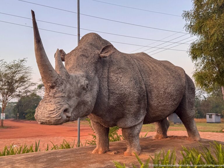 Large gray rhinoceros statue beside a red-earth road, with tall horn, textured skin, landscaping, and utility lines behind.