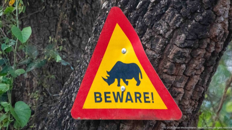 Triangular yellow-and-red warning sign on a tree with black rhinoceros silhouette and the word BEWARE.