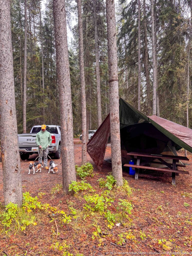 Camper stands with two beagles beside a pickup and tarp-covered picnic table in a wooded campsite.