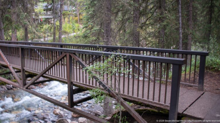 Dark wooden footbridge crosses a shallow creek beneath conifers, with a path continuing along the bank.