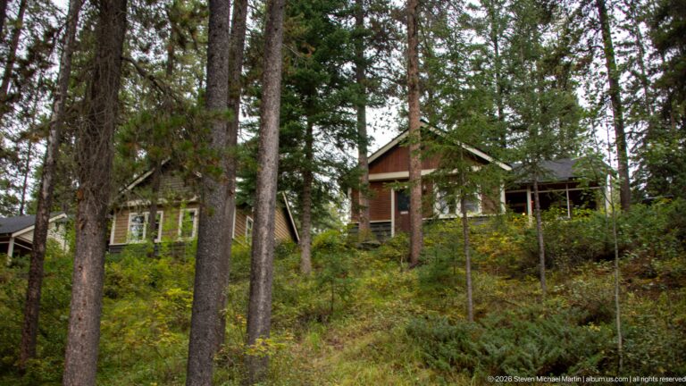 Timber building with a covered porch partly screened by shrubs and conifer trunks.