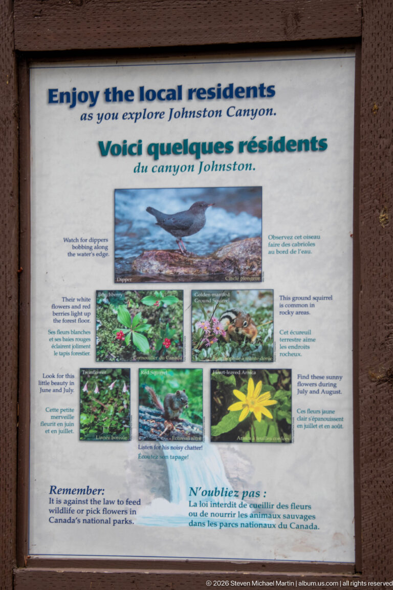 Bilingual nature panel displays photographs of a bird, flowers, and small wildlife beside the trail.