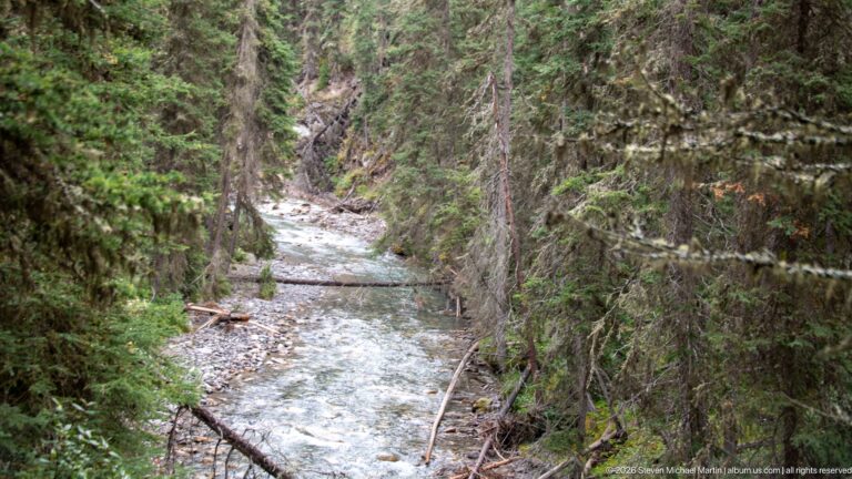 Shallow creek extends upstream through conifers, with stones and fallen branches along its banks.