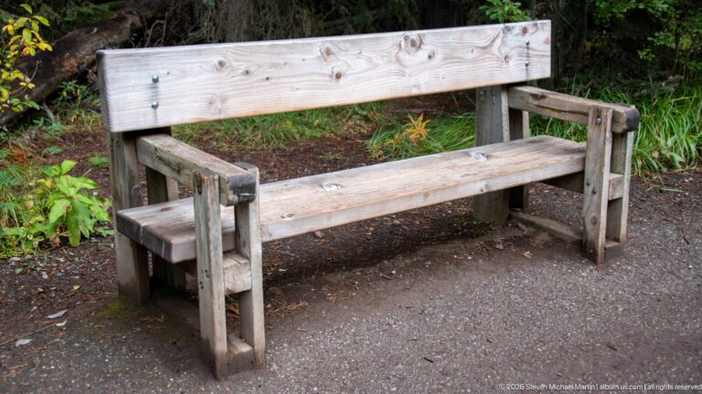 Weathered wooden bench stands beside a dirt trail amid grasses and small forest flowers.