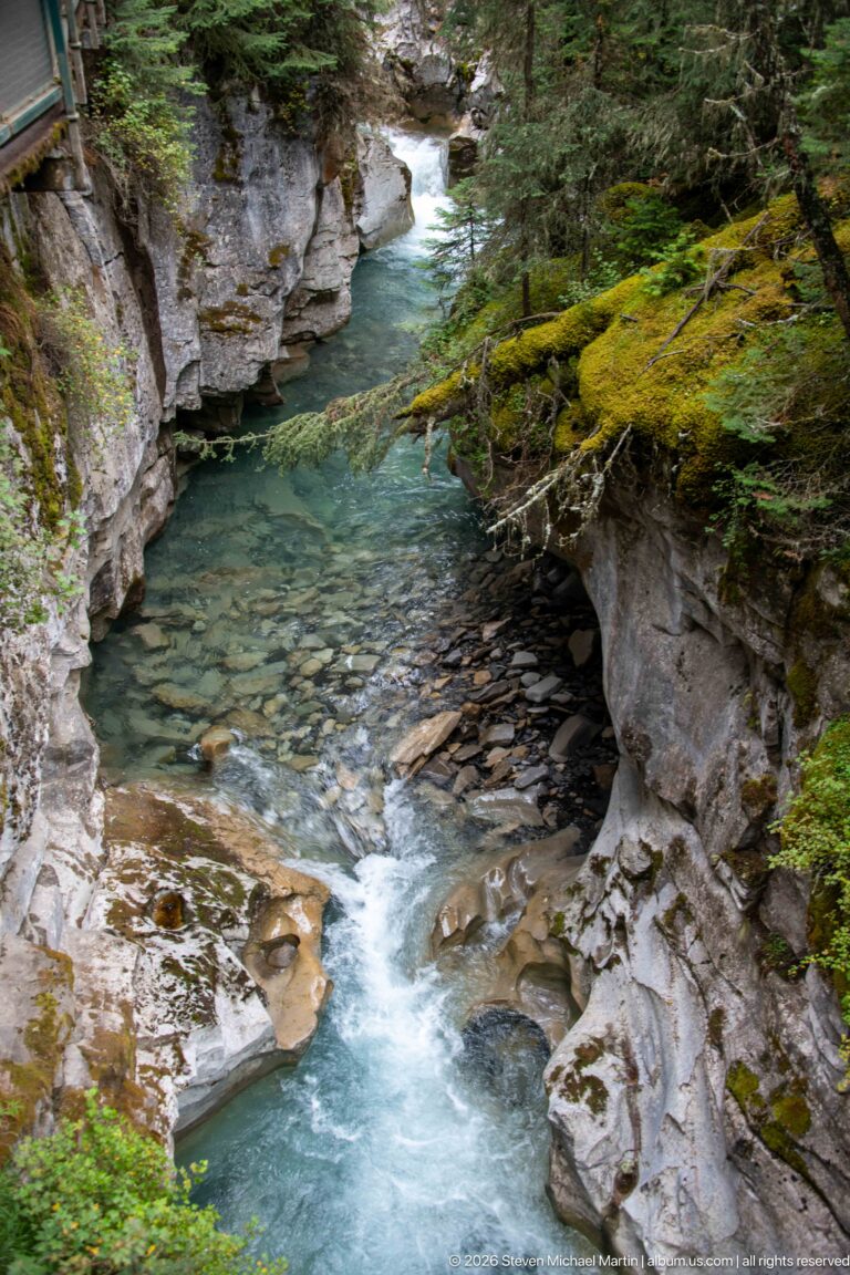 Clear blue-green creek winds between pale ledges and a moss-covered bank in the wooded canyon.