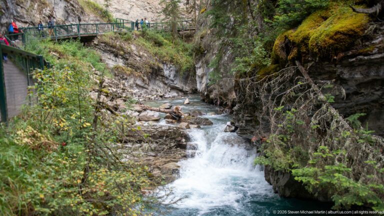 Rocky creek cascades beneath fallen branches and mossy banks, with a walkway at upper left.