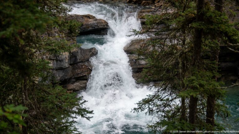 Whitewater plunges through a narrow rocky channel beneath overhanging evergreen branches in the canyon.