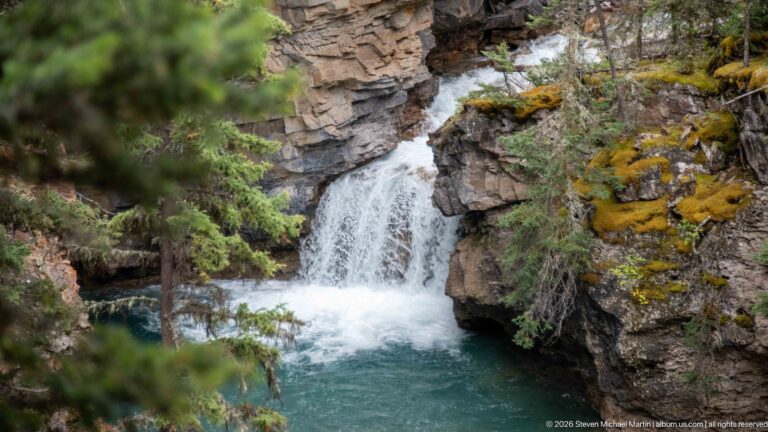 Waterfall and turquoise pool framed by evergreen branches, mossy rock, and a tree trunk.