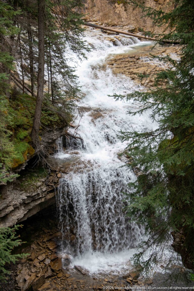 Fast creek water spreads over low rock steps beneath trees and evergreen branches.