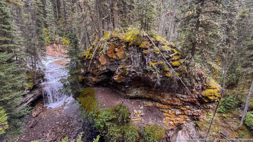 Creek splits around a mossy rock outcrop, with a small cascade and forest path nearby.