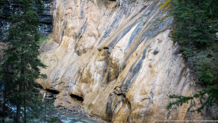 Pale steep rock wall with vertical dark streaks, small cavities, and trees along its upper edge.