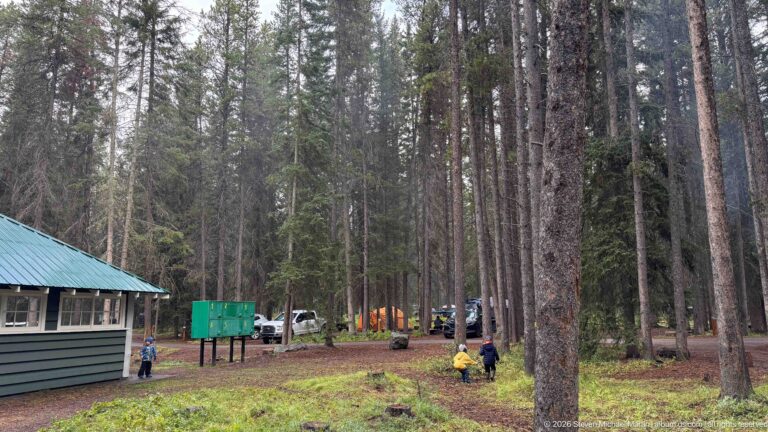Visitors and vehicles occupy a forest campground clearing beside a small building and tall conifers.