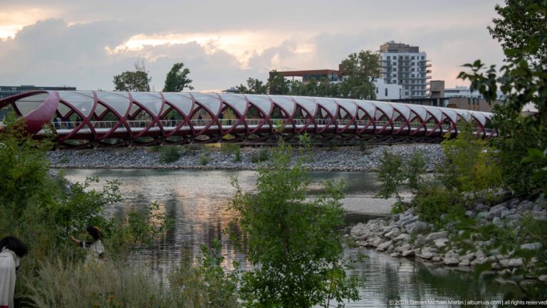Long side view of Calgary’s Peace Bridge crossing the Bow River behind trees and rocky banks.