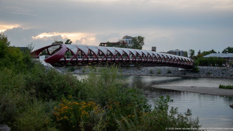 Calgary’s red Peace Bridge spanning the Bow River under a gray sky, with vegetation and gravel bars.