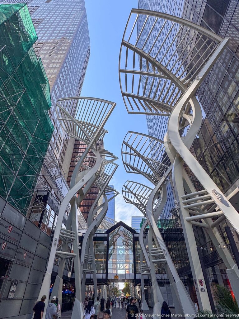 Low-angle view of Calgary’s white Galleria Trees twisting upward between glass and steel downtown towers.