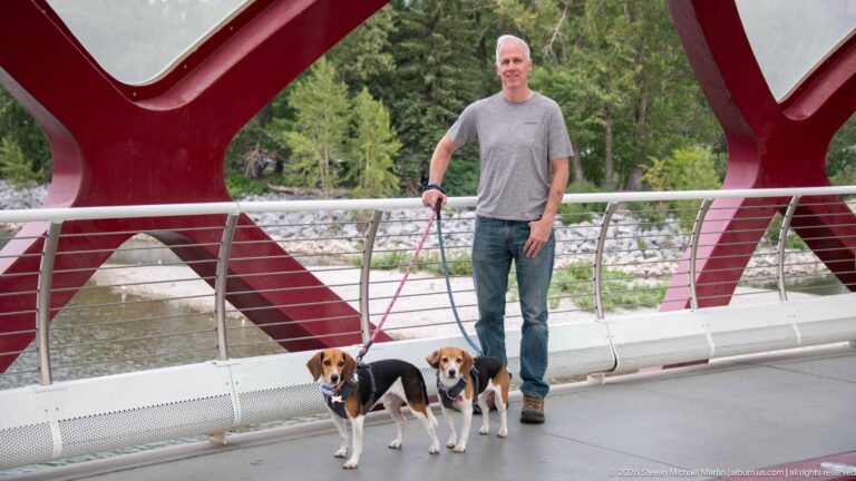 Man standing with two leashed beagles inside Calgary’s Peace Bridge, with riverbank and trees behind.