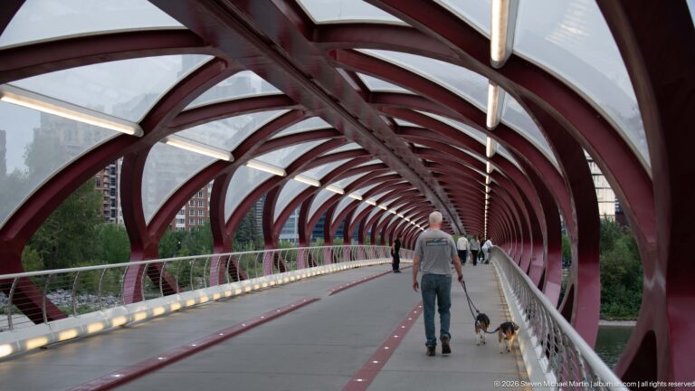 Pedestrian walking a dog beneath repeating red steel arches inside Calgary’s Peace Bridge.