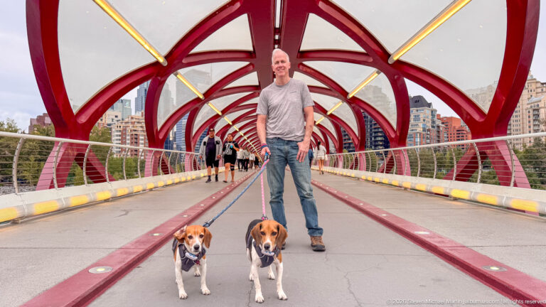 Man with two leashed beagles standing beneath repeating red arches inside Calgary’s Peace Bridge.