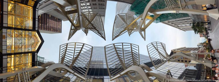 Upward evening view through the white steel trunks and open canopies of Calgary’s Galleria Trees.