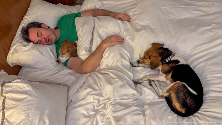 Sleeping man under white bedding with two beagles curled closely beside him on a hotel bed.