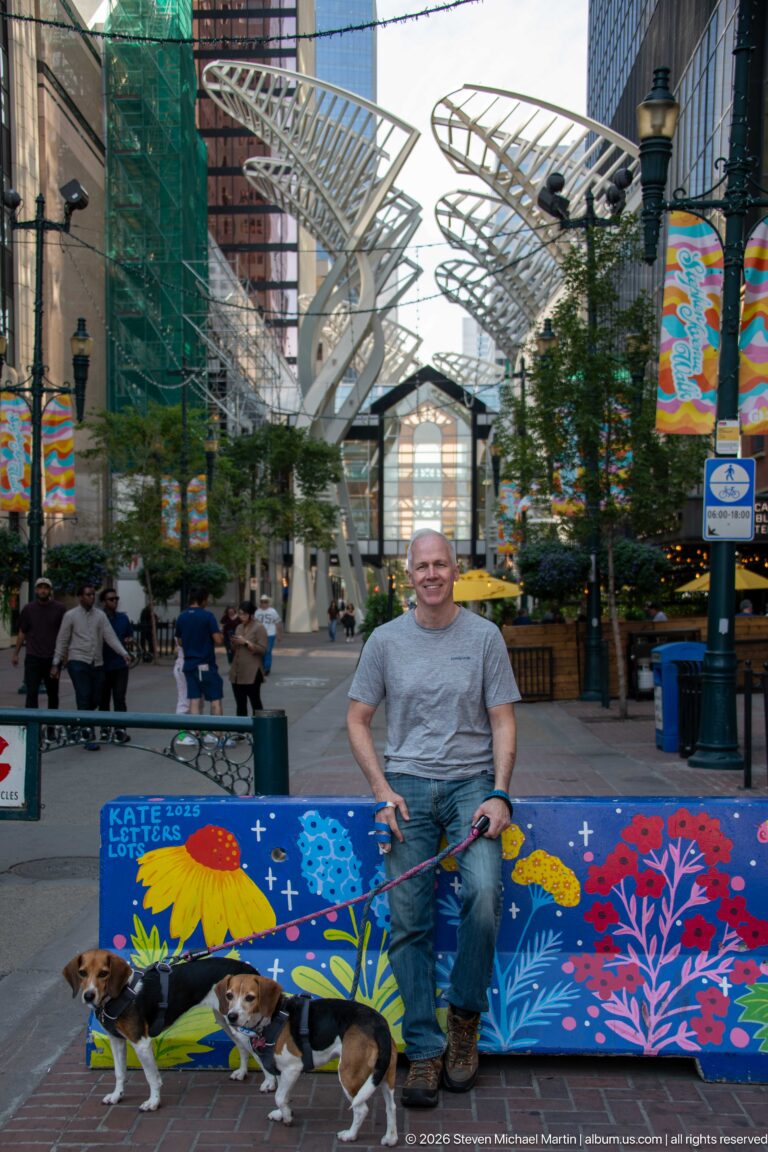 Man with two leashed beagles beside a brightly painted street barrier in a downtown Calgary pedestrian area.