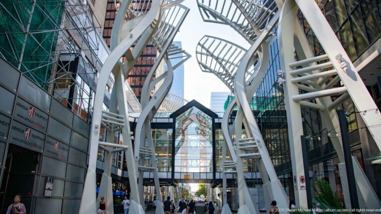 White Galleria Trees lining a Stephen Avenue pedestrian corridor between glass buildings in downtown Calgary.