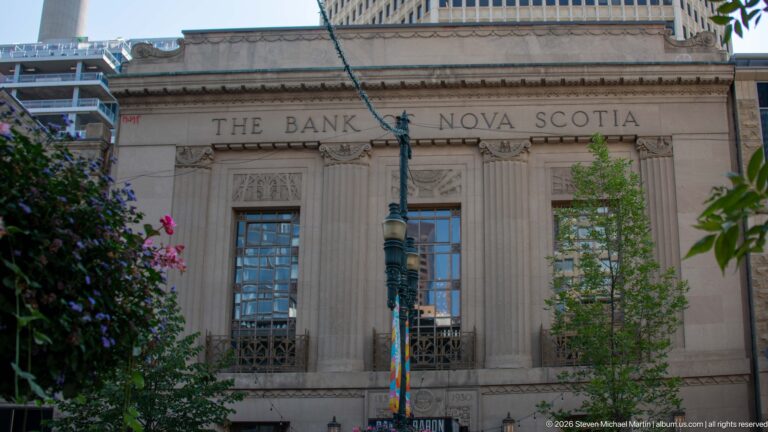 Classical Bank of Nova Scotia stone façade with tall windows and fluted pilasters behind trees and flowers.