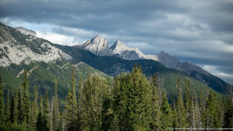 Jagged pale-gray sedimentary peaks above dark conifer forest under heavy clouds.