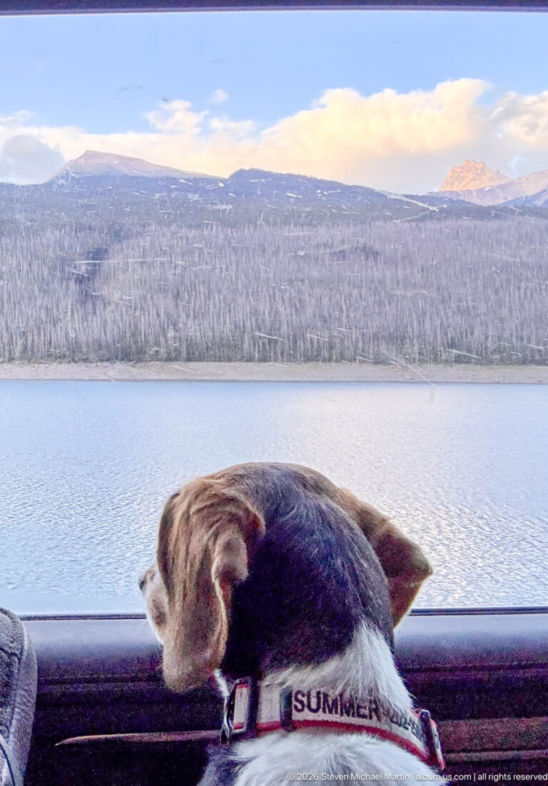 Beagle resting its head on a vehicle window with a lake and forested mountain slopes in the background.