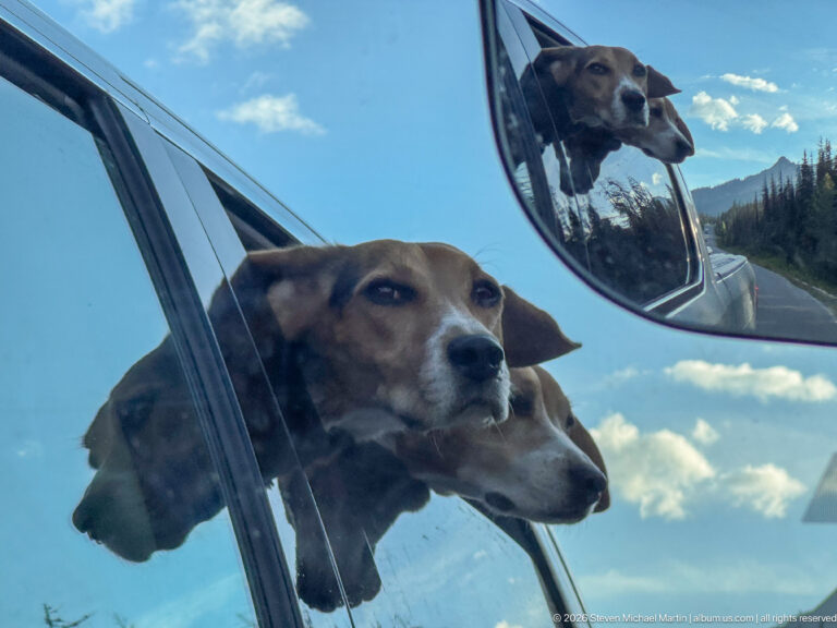 Two beagles lean from a vehicle window, their heads repeated in the side mirror against blue sky and mountains.