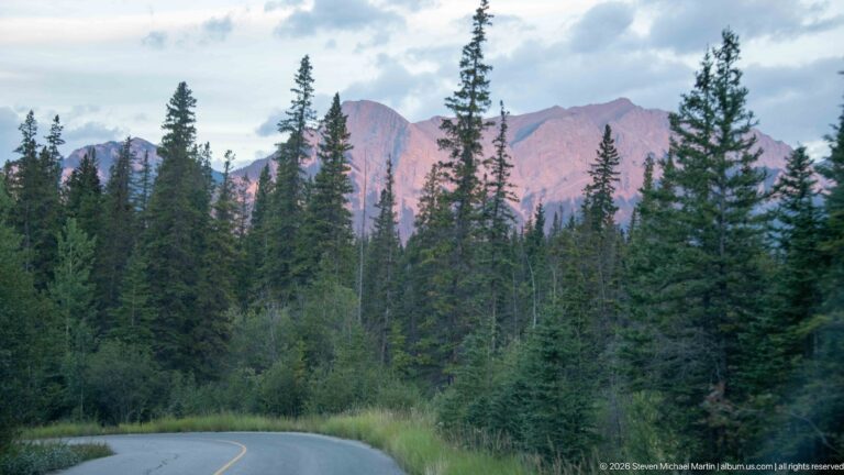 Curving paved road through dense conifers with steep Rocky Mountain peaks rising behind in warm evening light.