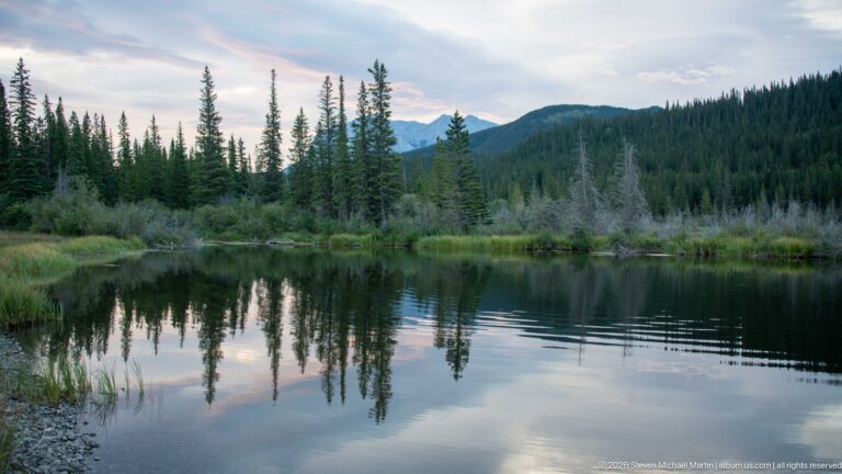 Still pond reflecting conifer trees, evening clouds, and low mountain ridges beside a grassy wetland shoreline.