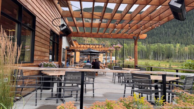 Timber-covered outdoor dining patio with tables, flower planters, wood siding, and a forested mountain setting.