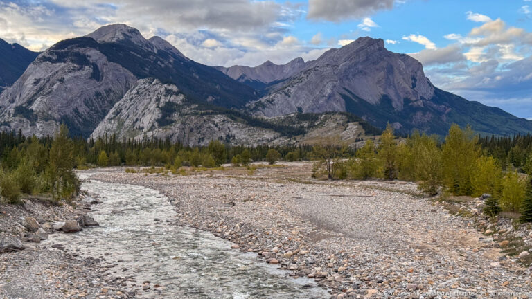 Fast-moving stream curving through a broad pale gravel bed toward rugged gray mountains and forested slopes.