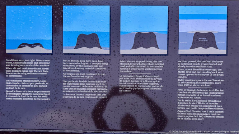 Four bilingual geological diagrams illustrating stages in the formation, burial, deformation, and exposure of the Miette Reef.