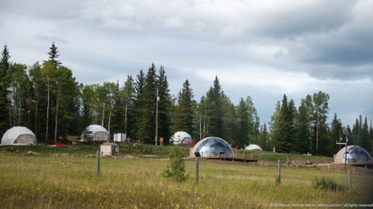 Several white and transparent geodesic camping domes on grass among mixed forest, with decks and small utility structures.
