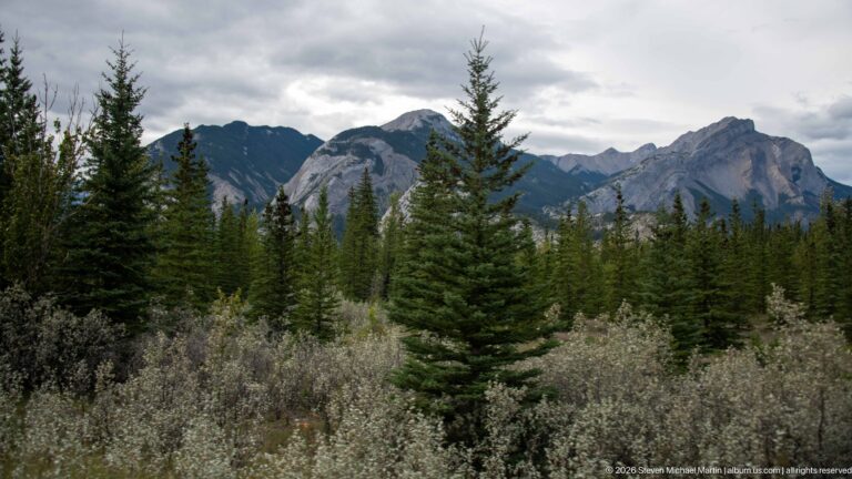Dense conifer forest and pale shrubs below rugged gray Rocky Mountain peaks beneath cloudy sky.