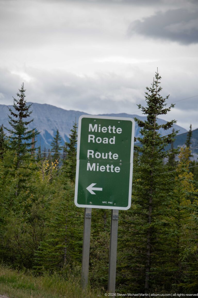 Green bilingual sign reading Miette Road and Route Miette with a left-pointing arrow among conifers.