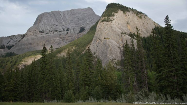 Steep gray sedimentary rock face with tilted layers and fractures rising behind conifer forest.
