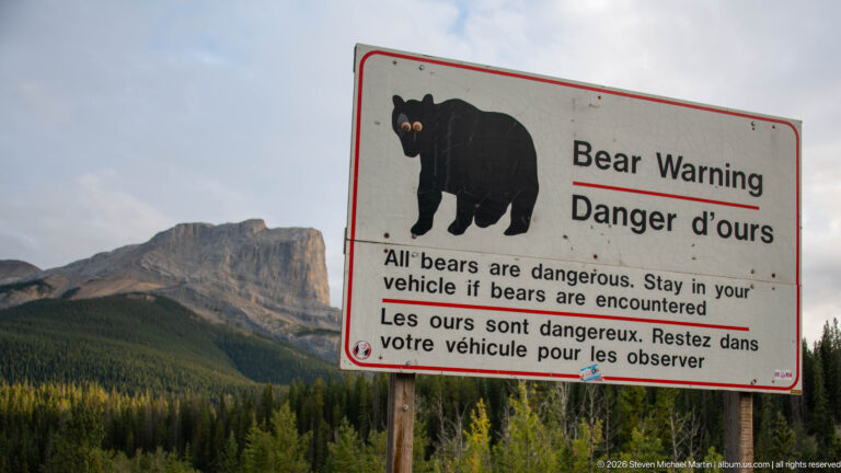 Bilingual Bear Warning sign advising visitors to stay in their vehicle, with forested mountains behind.