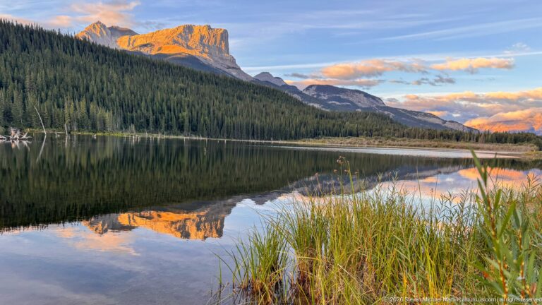 Tall shoreline reeds frame a lake reflecting a sunlit cliffed mountain and dark conifer forest.
