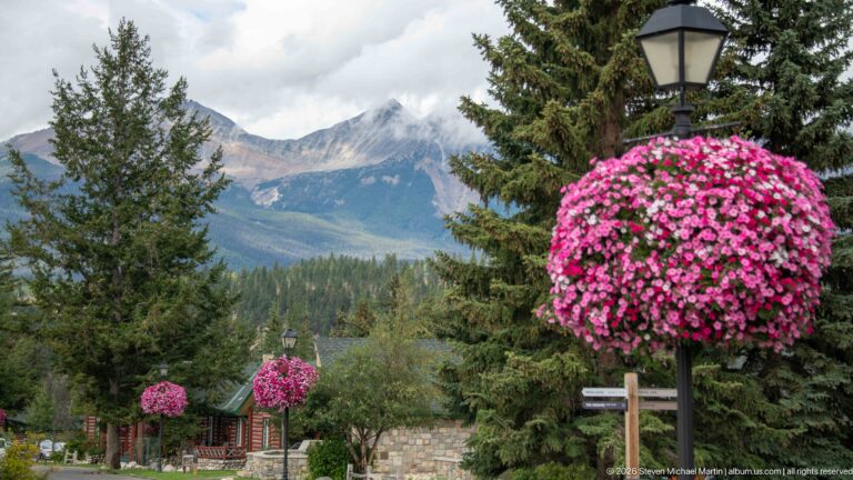 Large spherical basket of pink flowers on a lamp post with cabins, conifers, and mountains beyond.